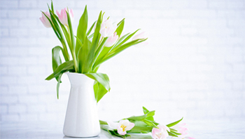 blog_small_img4_350X198